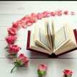 إم جوري 🌹