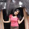 revita dwi a pagiling revita dwi a pagiling