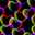 Caritocent
