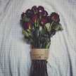 rsomm_50