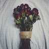 rsomm_50