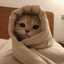 Aseel 