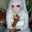 Milba QyumatoBaby