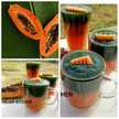 Hajar Kitchen