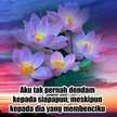 Teratai Ungu Limz