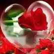 💞💞نور اليقين💞💞
