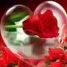 💞💞نور اليقين💞💞