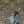 Jelita Permatasari