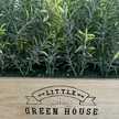 Little Green House