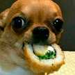 Julixd