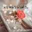 Asma Omar