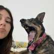 paloo