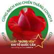 Nguyễn Diễm My