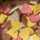 Heemash Cuisine