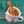 KAYS CUISINE