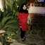 Nehayas_kitchen
