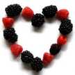 Go4food