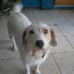Valentina Ignacia Galdames Garay