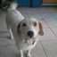 Valentina Ignacia Galdames Garay