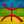 Amazigh Tafraout
