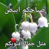 ام ريتاج وملاك🇩🇿🇩🇿🇩🇿🇩🇿❤❤❤❤