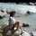 Lily_