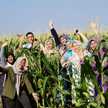 DOTs Bersaudara