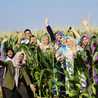 DOTs Bersaudara DOTs Bersaudara