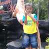 satria satria