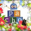Pachochyn Pachochyn