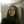 Laura Vanesa Sacerdote 