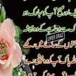 nasir hashmi