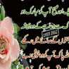 nasir hashmi nasir hashmi