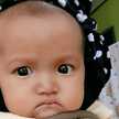 annisa