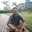Aditia Muara