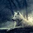 Emma Madhai Burgos Heredia