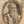 Bartolomeo Scappi