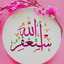 وردة الفل