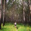 chelsea_sales