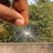 Sagar Mondal
