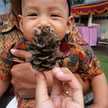 Bunda Nufais