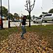 Mely CR