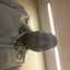 Anthony Hernandez