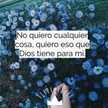 Julia PH