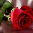 Nadea Sy