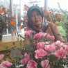 Rokhayah 