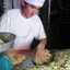 Lokito_solitario
