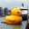 Anak Bebek