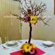 Flor Aguilar