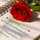 hafsa hamdy hafsa hamdy